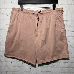 AE Outfitters Flex Lived-In Trekker shorts size large in pale pink